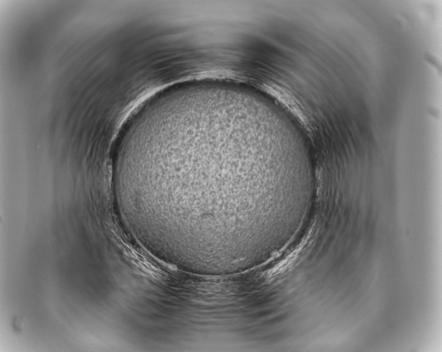 X0000093371021200710251149