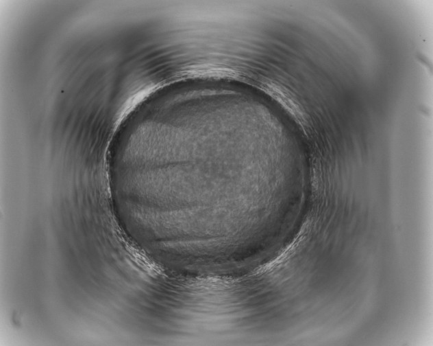 X0000093371022200710251149