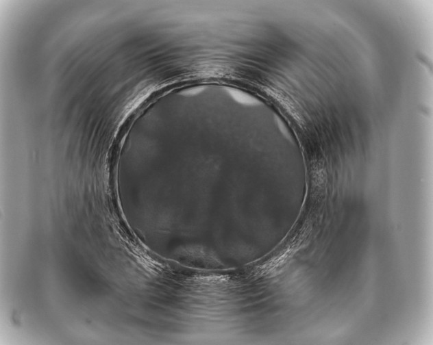 X0000093371023200710251149