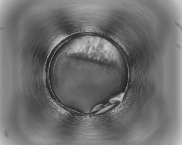 X0000093371024200710251149