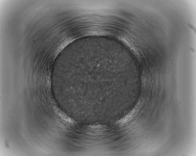 X0000093371025200710251149