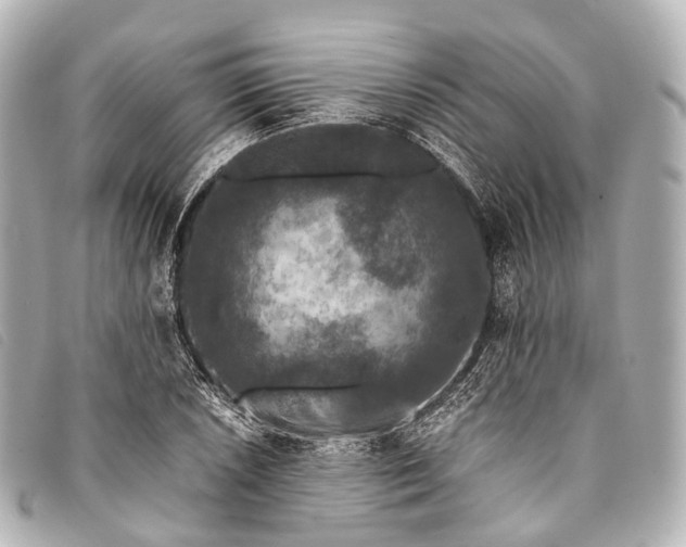 X0000093371026200710251149