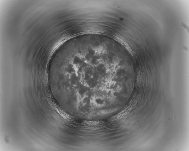 X0000093371027200710251149