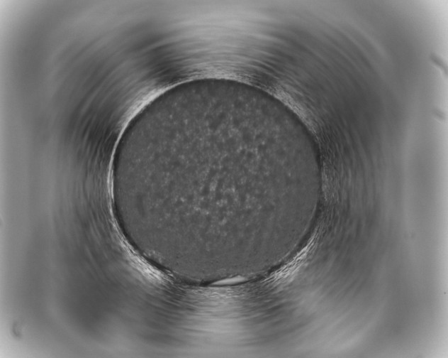 X0000093371028200710251149