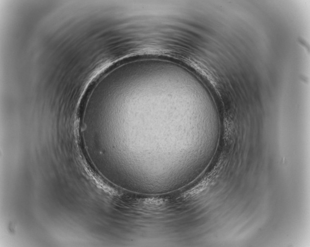 X0000093371029200710251149