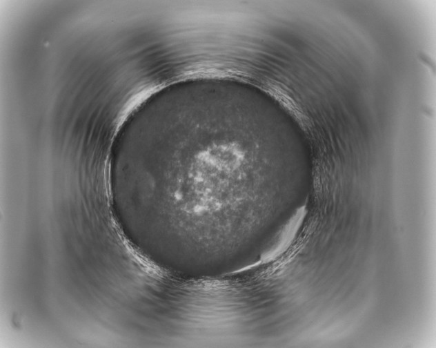 X0000093371030200710251149