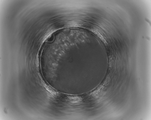 X0000093371031200710251149