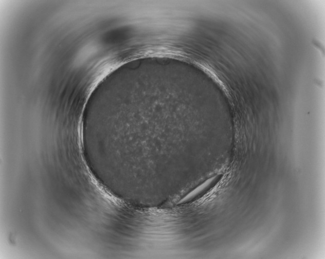 X0000093371032200710251149