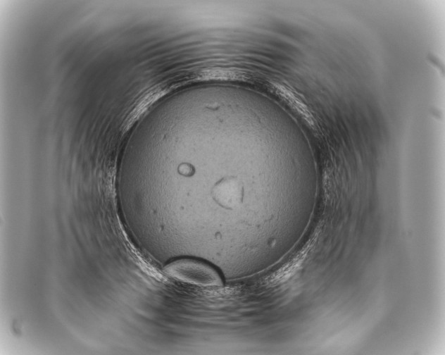 X0000093371033200710251149