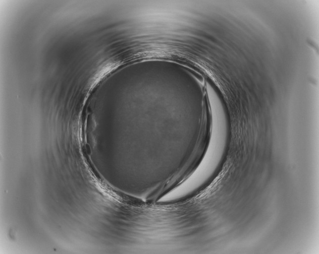 X0000093371034200710251149