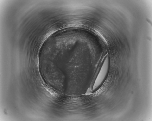 X0000093371035200710251149