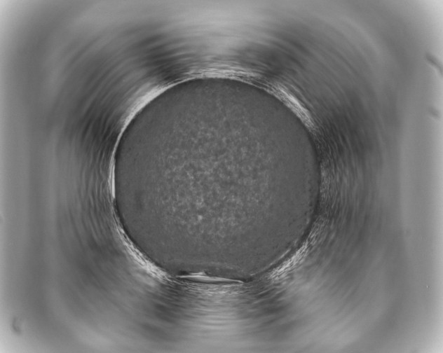 X0000093371036200710251149