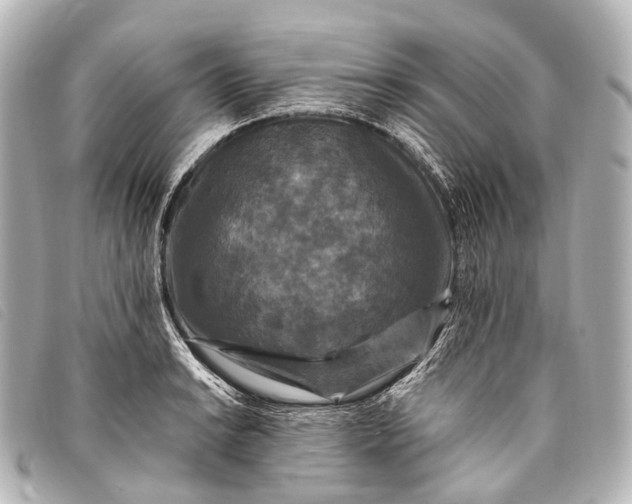 X0000093371038200710251149