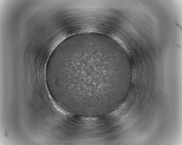 X0000093371039200710251149