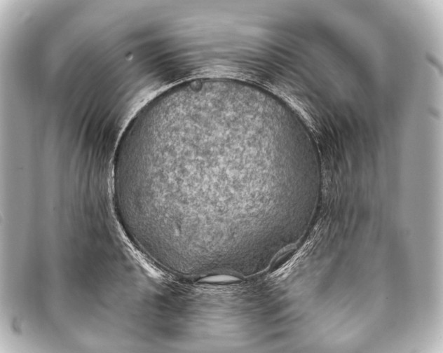 X0000093371040200710251149