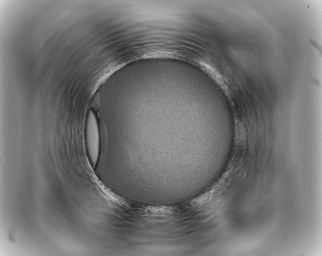 X0000093371041200710251149