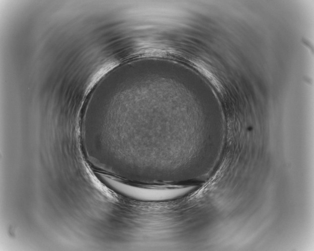 X0000093371042200710251149