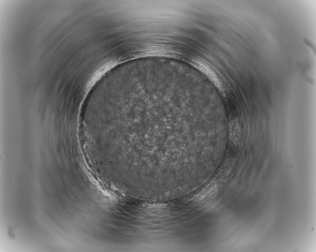 X0000093371043200710251149