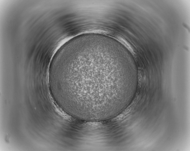 X0000093371044200710251149