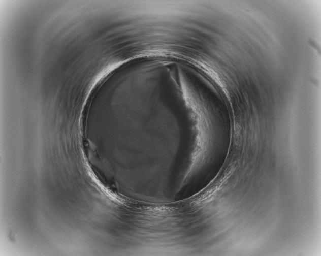 X0000093371045200710251149