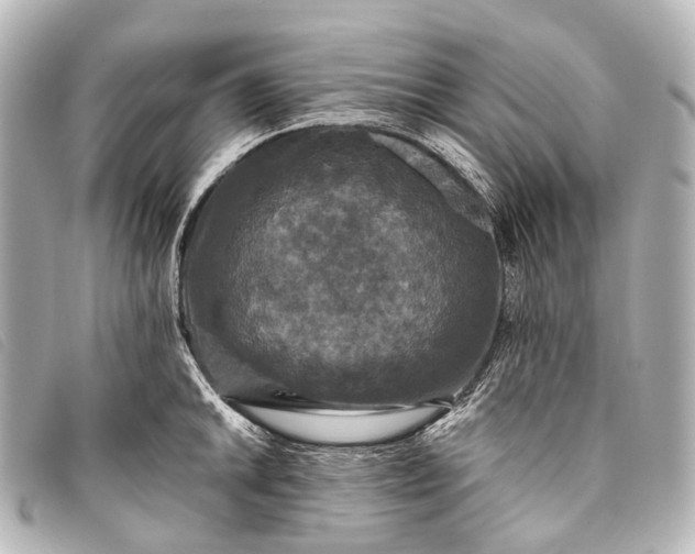 X0000093371046200710251149