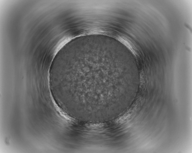 X0000093371047200710251149