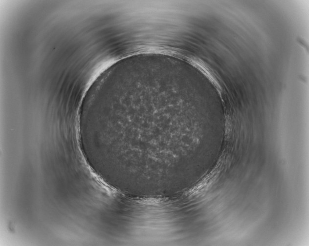 X0000093371048200710251149