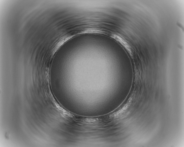 X0000093371049200710251149