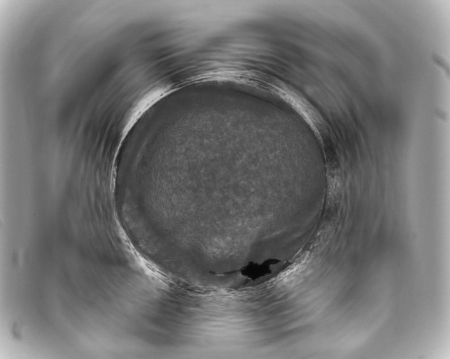 X0000093371050200710251149