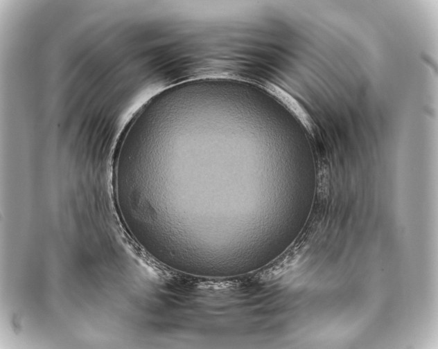 X0000093371051200710251149