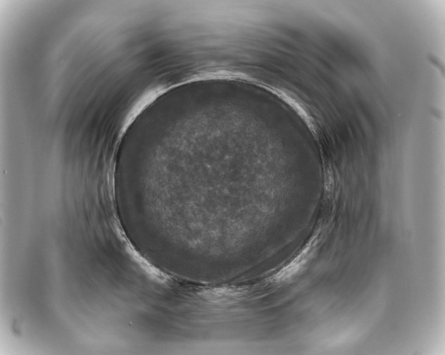 X0000093371054200710251149