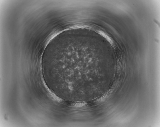 X0000093371055200710251149