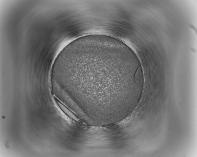 X0000093371056200710251149