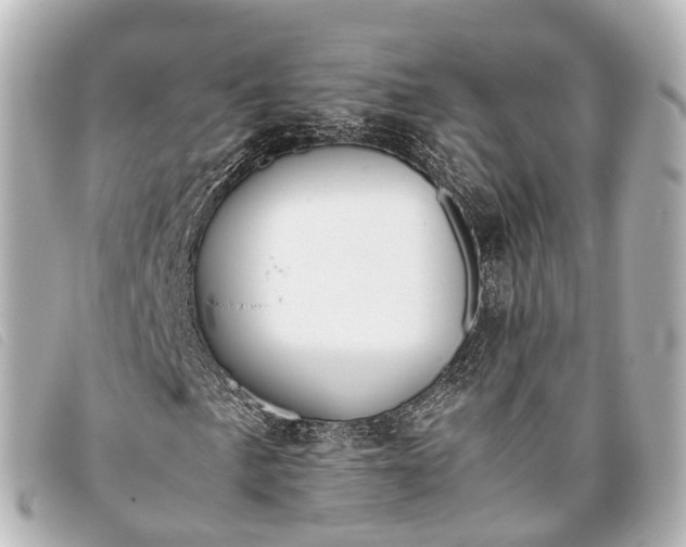 X0000093371057200710251148