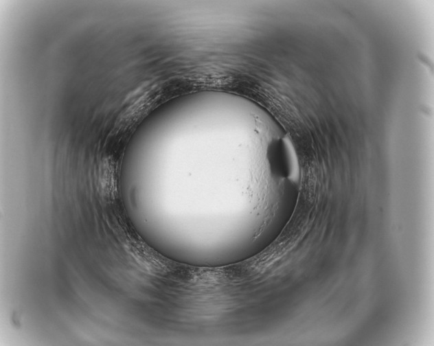 X0000093371058200710251148