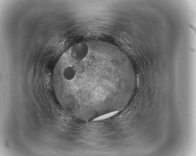 X0000093371059200710251148