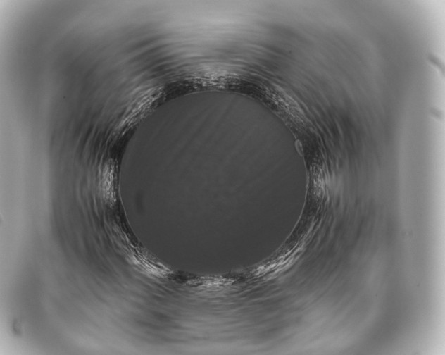 X0000093371060200710251148