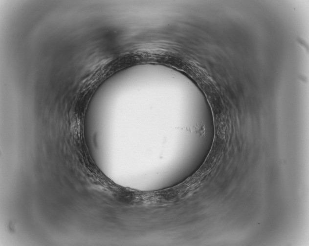 X0000093371061200710251148