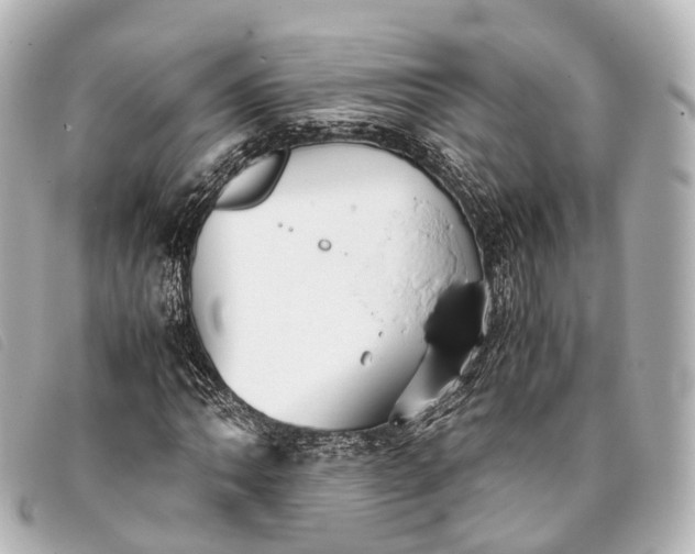 X0000093371062200710251148