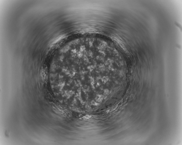 X0000093371063200710251148