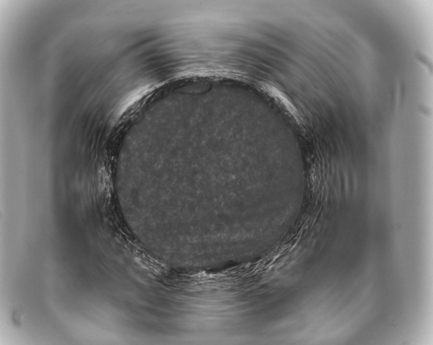 X0000093371064200710251148