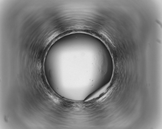 X0000093371065200710251148