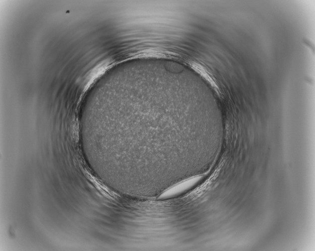 X0000093371067200710251148