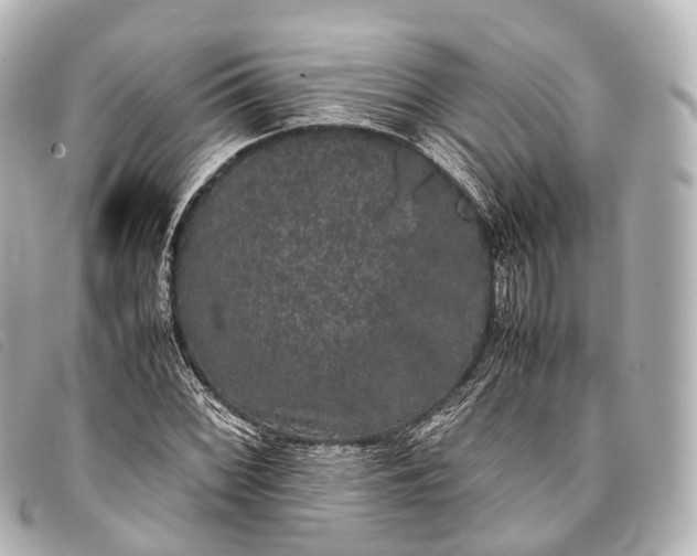 X0000093371068200710251148