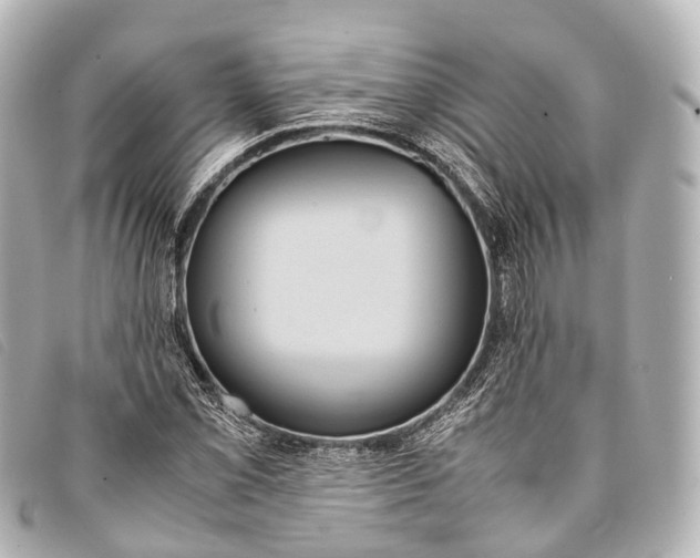 X0000093371069200710251148