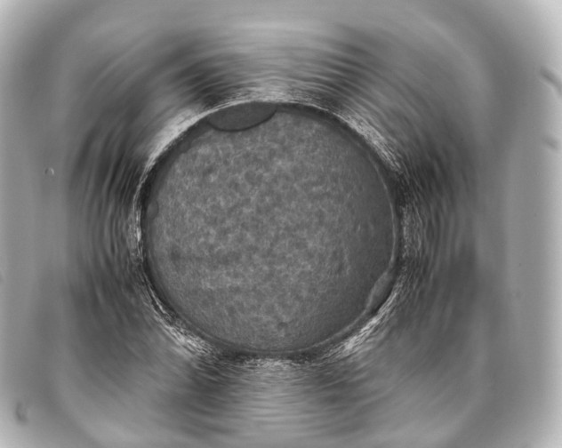 X0000093371070200710251148