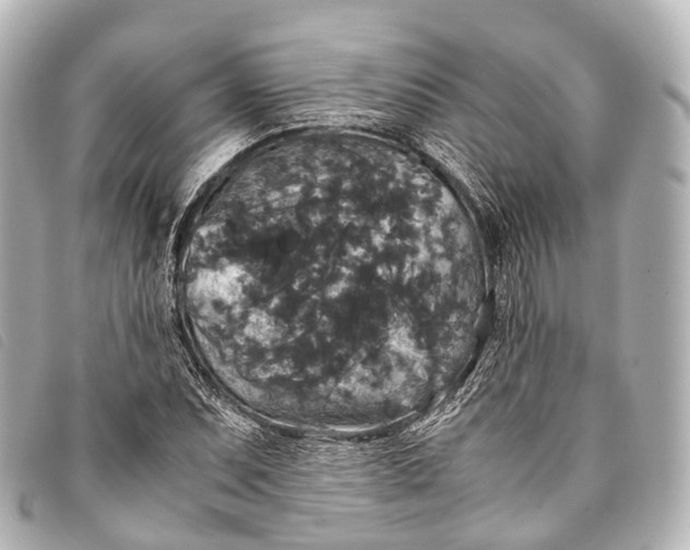 X0000093371071200710251148