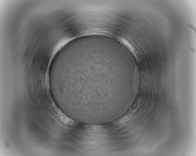 X0000093371072200710251148