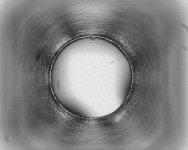 X0000093371073200710251148