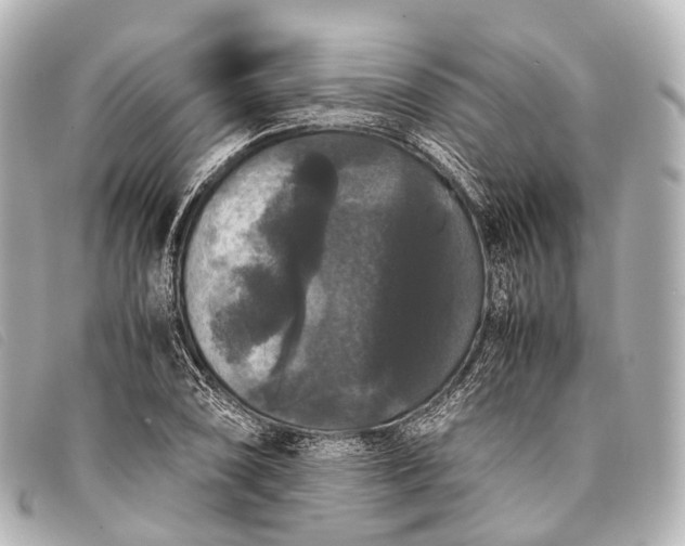 X0000093371074200710251148